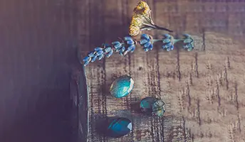 Blog Banner
